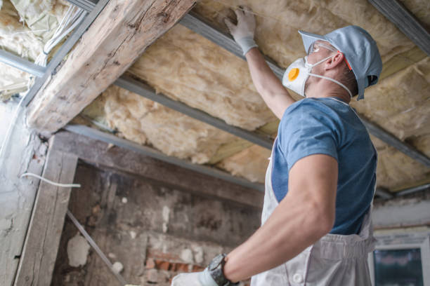 Best Residential Insulation Services  in Shillington, PA