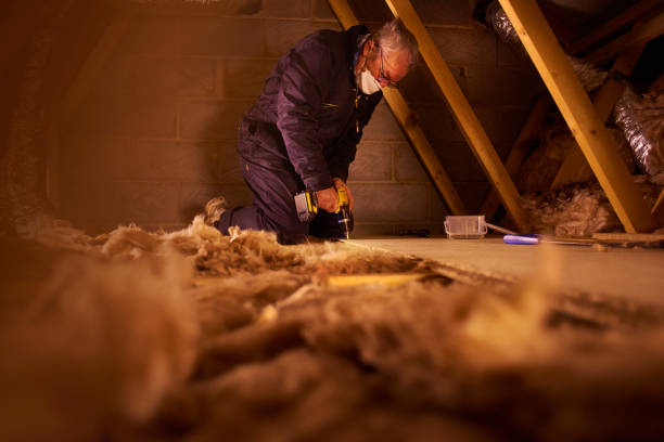 Insulation Replacement Services in Shillington, PA